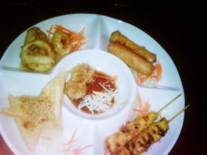 The Thai Sampler is a combination of chicken Satay, crispy rolls, steamed dumplings, fried calamari and fried Tofu.